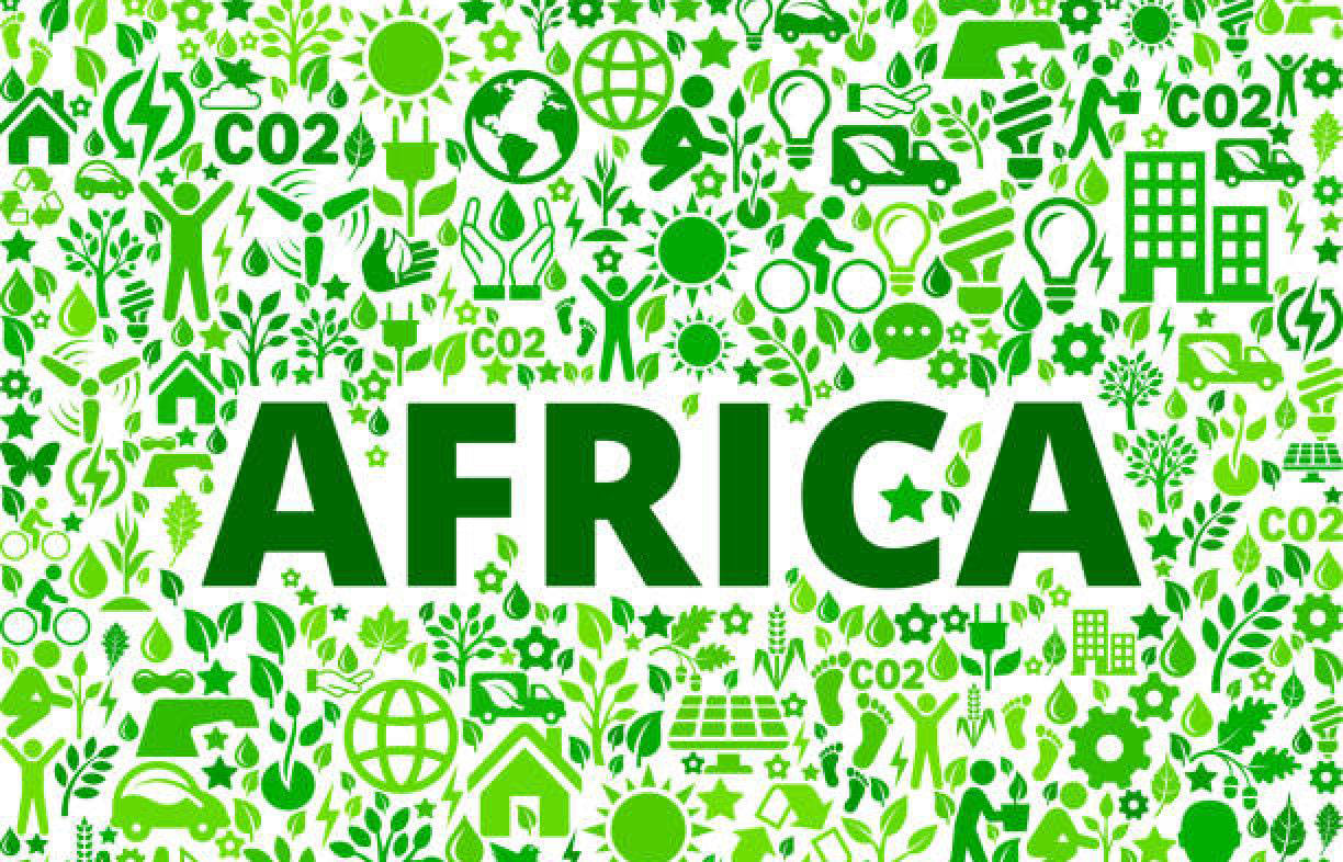 Due Diligence Environnementale et Sociale