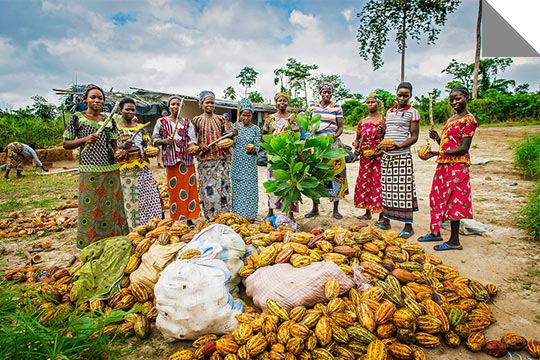 Agriculture, négoce, transport